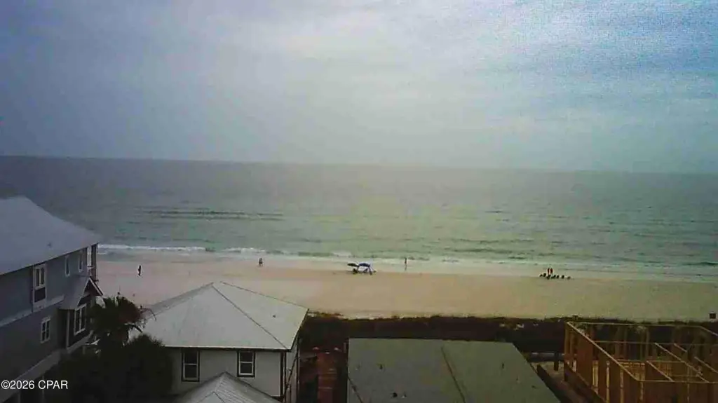 Picture 5