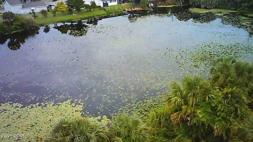 Picture 10