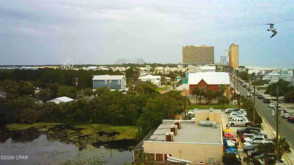 Picture 9