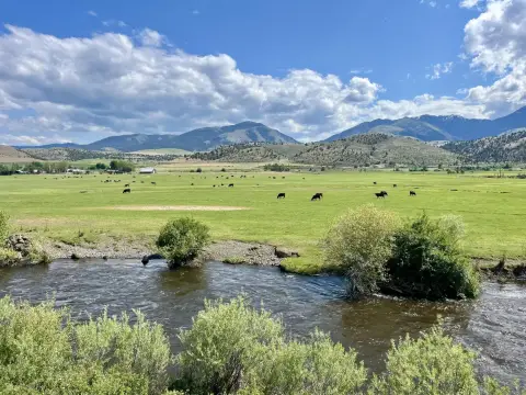 Eastern Oregon Cattle Ranch