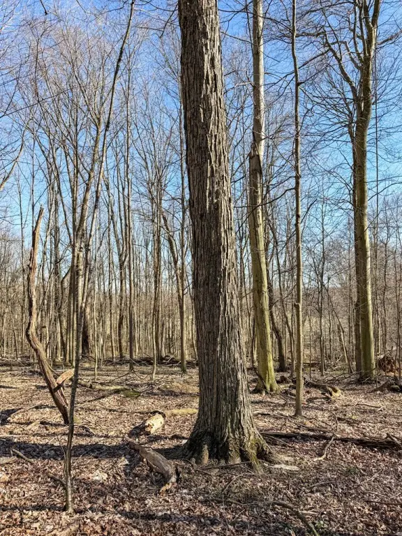 Picture 23