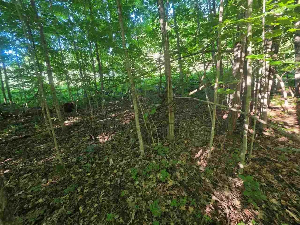 Picture 18