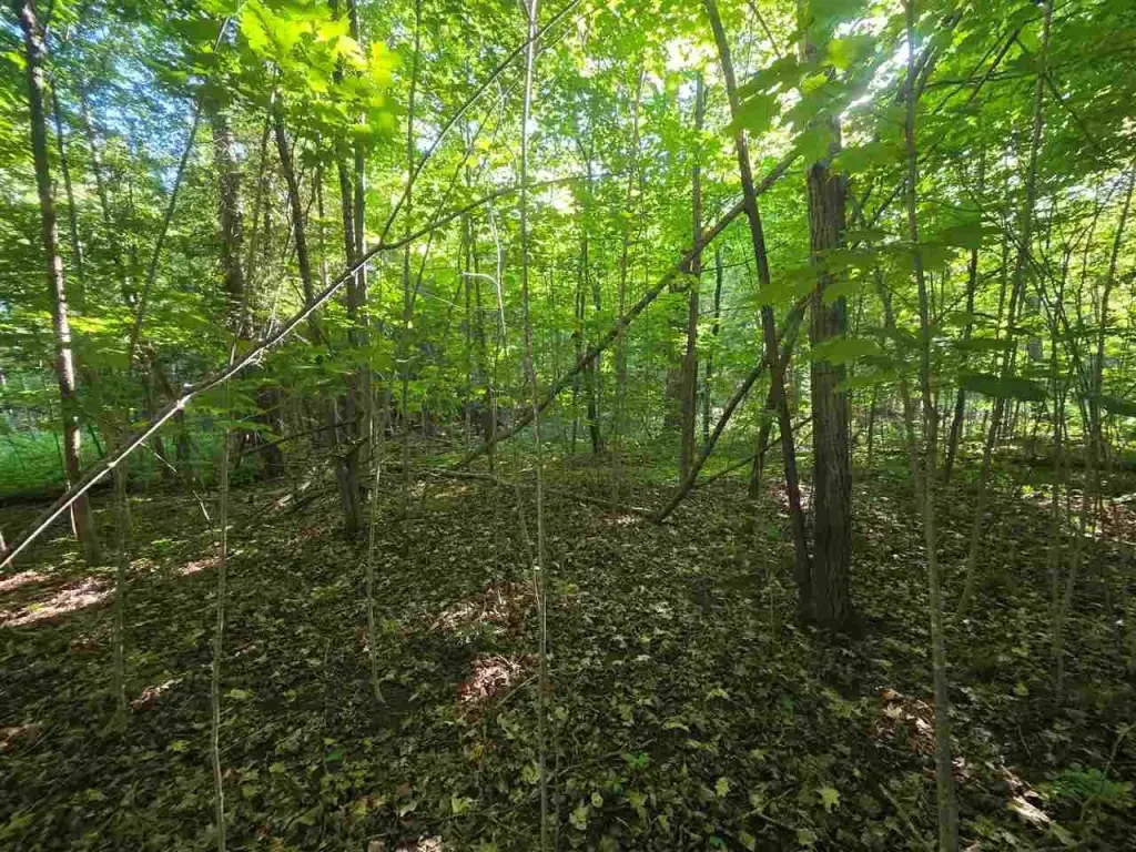 Picture 14