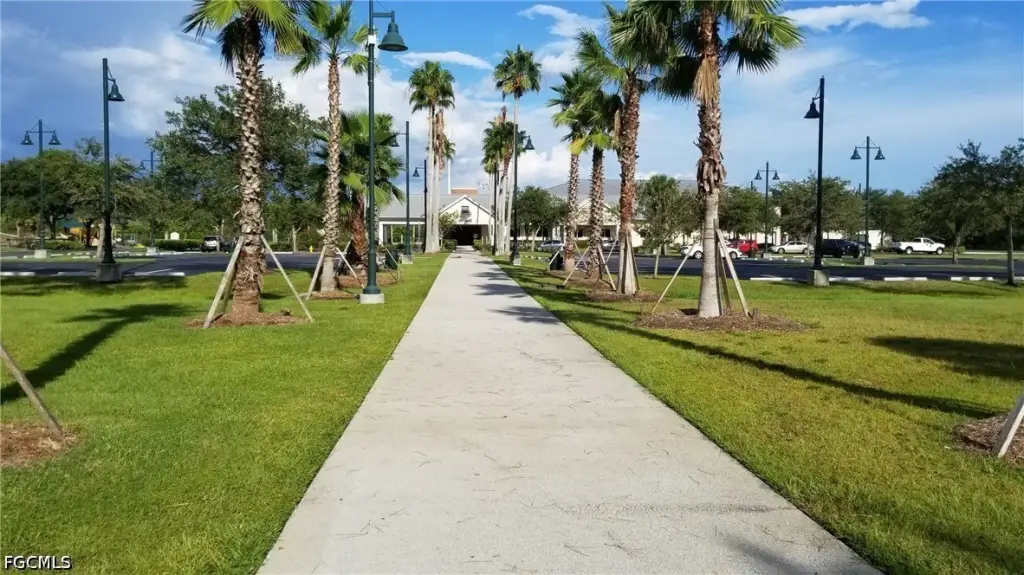 Picture 17