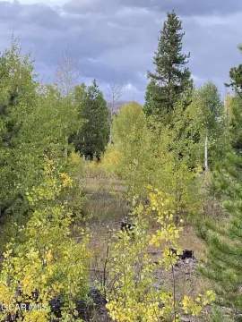 Land Near Grand Lake, CO