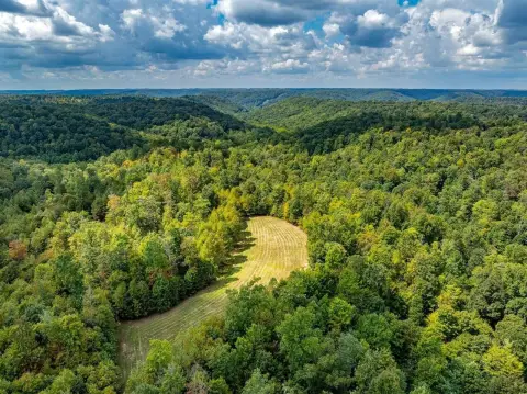 365 Acres Bordering National Forest