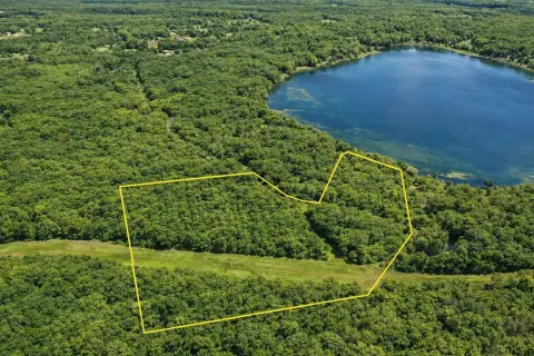 Wooded Acreage Near Upper Scott Lake