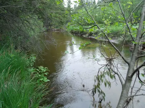 Pigeon River Recreational Land