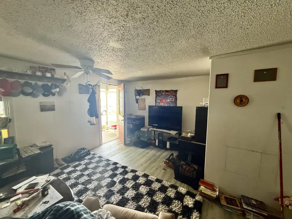 Picture 32