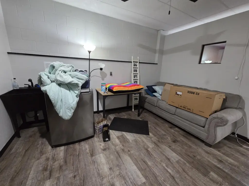 Picture 21