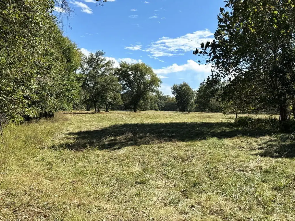 Picture 36