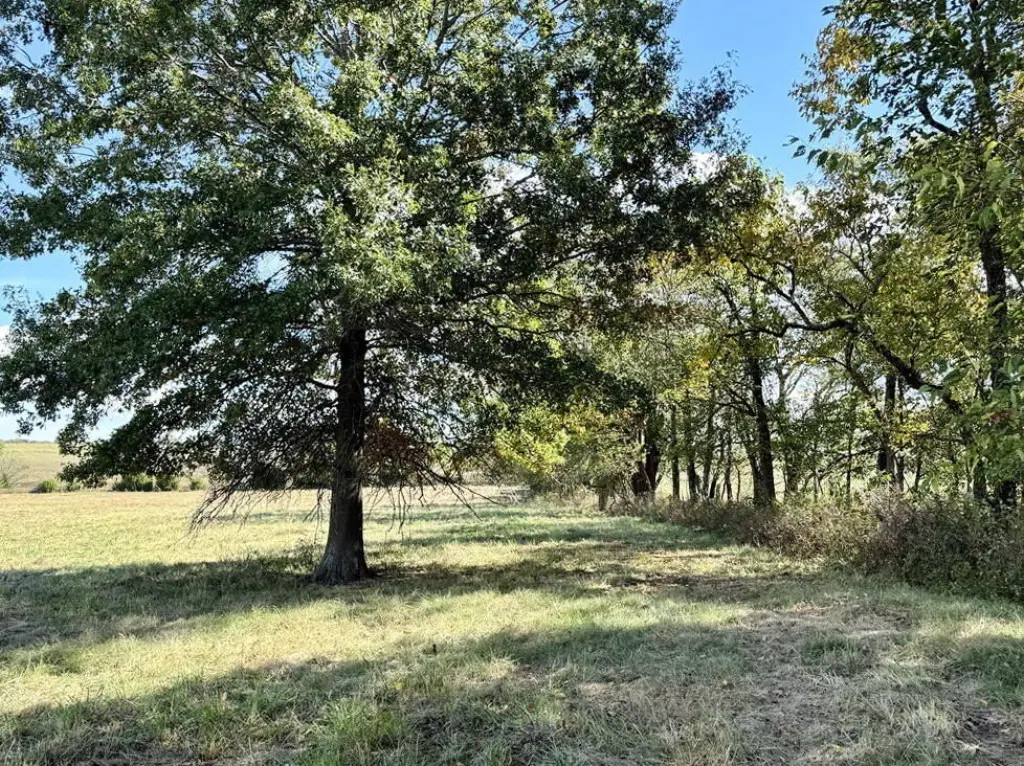 Picture 23