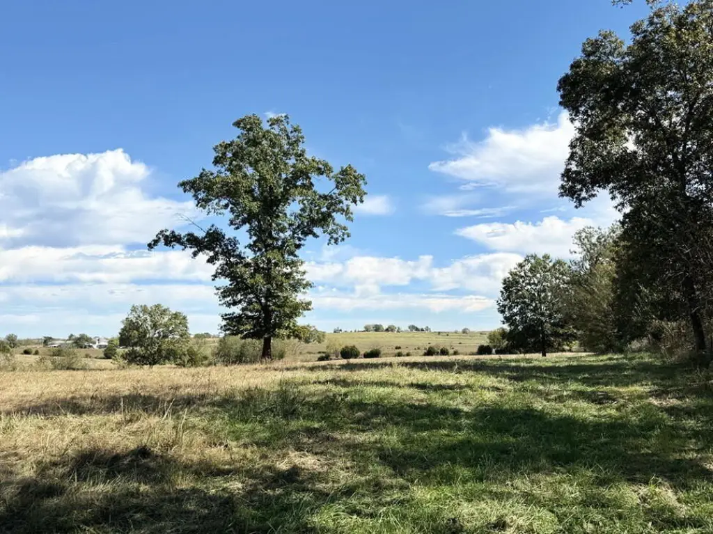 Picture 12
