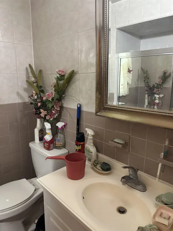Picture 19