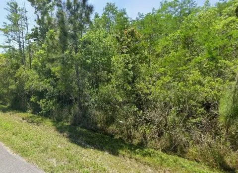 Wooded Lot in Canaveral Acres
