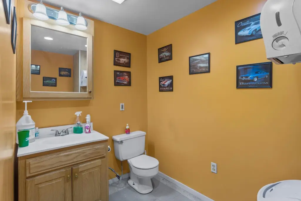 Picture 8