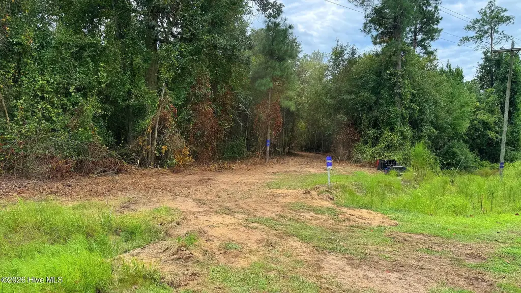 Picture 17