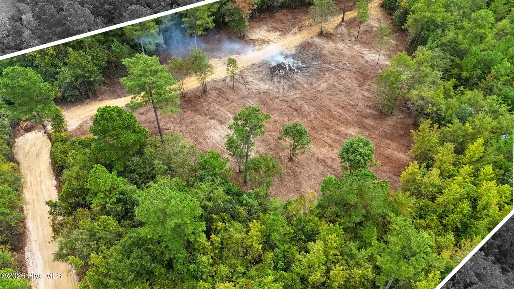 Picture 8