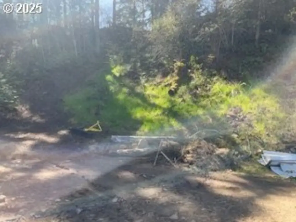 Picture 15
