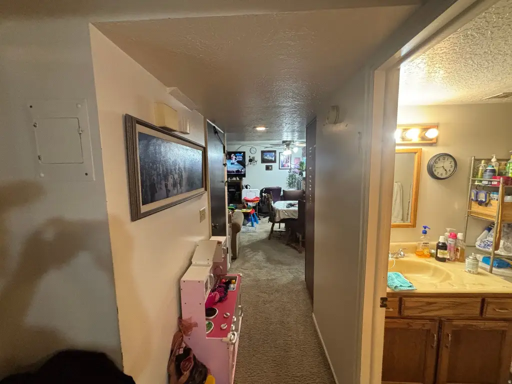 Picture 19