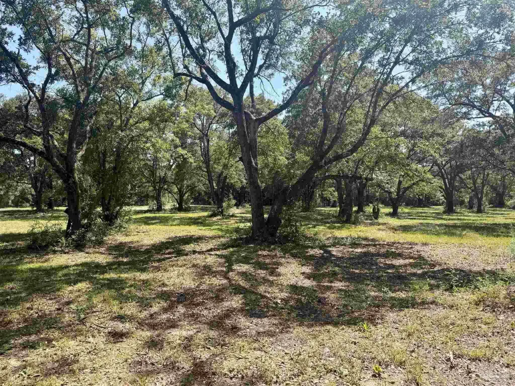 Picture 16