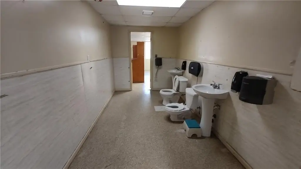 Picture 15