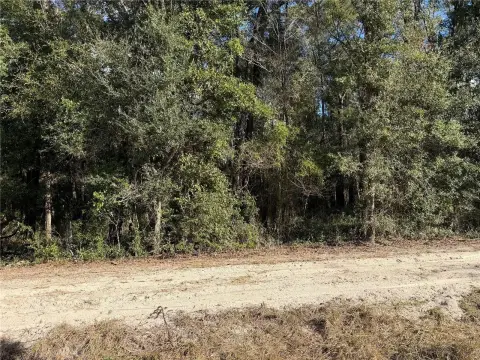 Residential Acreage in Archer, Florida