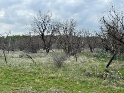 7.07 Acres of Unimproved Land