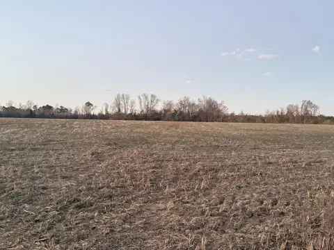 Cleared Land in Sumter, SC