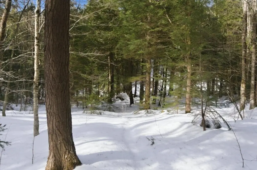 Picture 22
