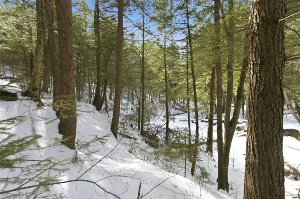 Picture 19