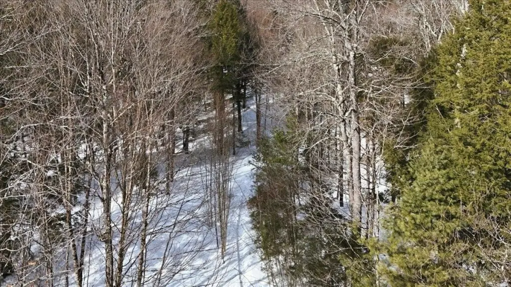 Picture 15
