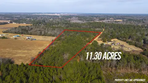 Wedgefield Land for Homesite/Investment