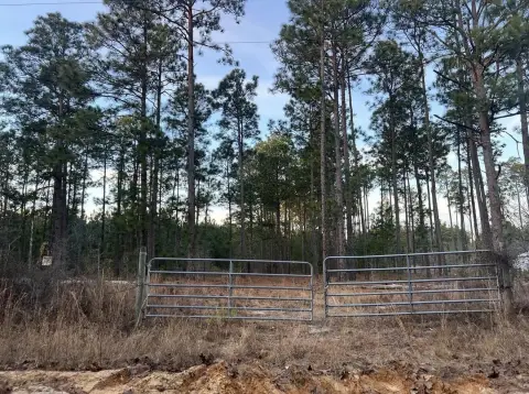 Acreage near I-20, Gilbert, SC