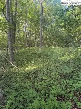 Creston Land Near Game Lands