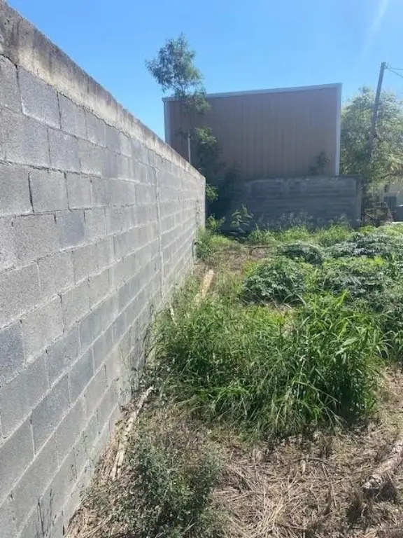 Picture 6
