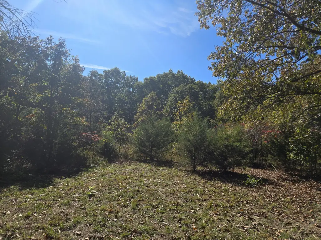 Picture 5