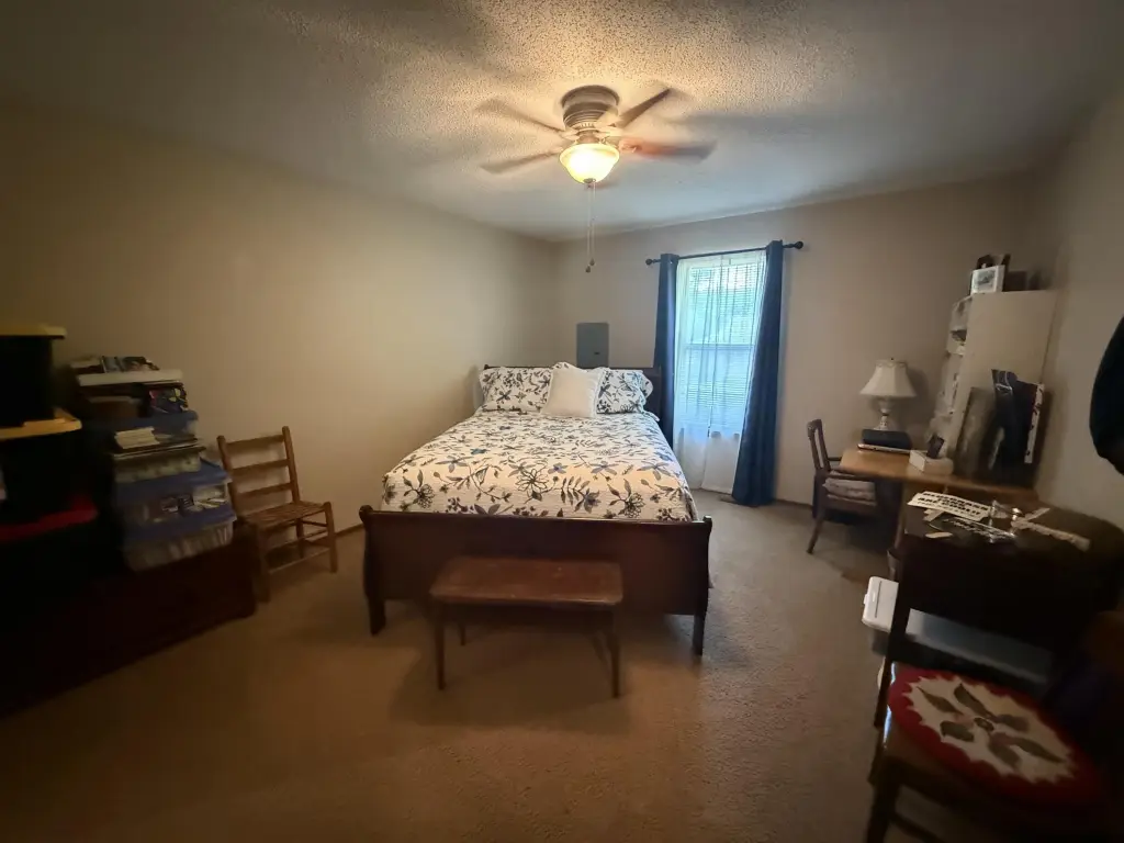Picture 6