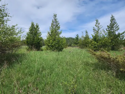 Waterfront Land in Cheboygan, MI