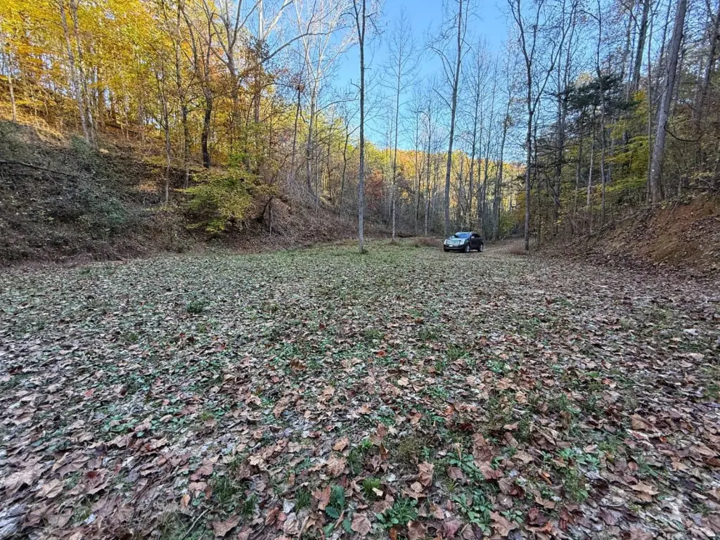 Picture 9
