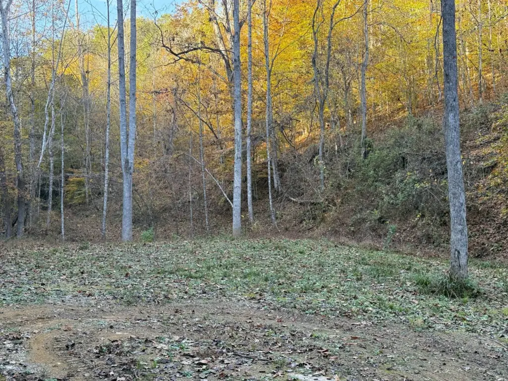 Picture 4