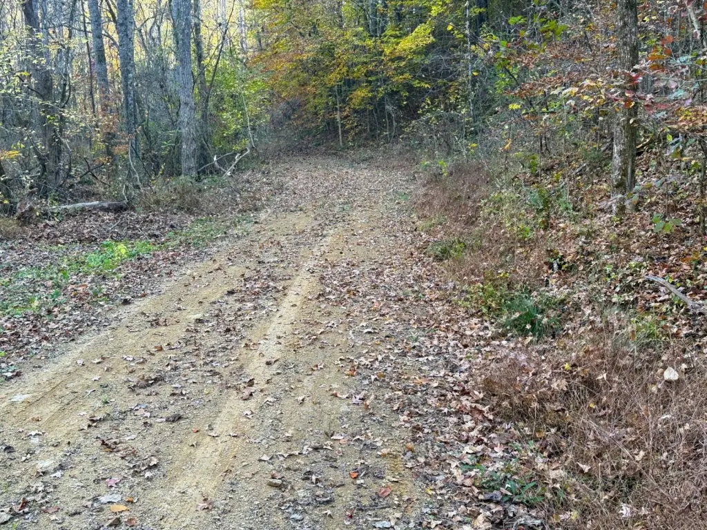 Picture 2