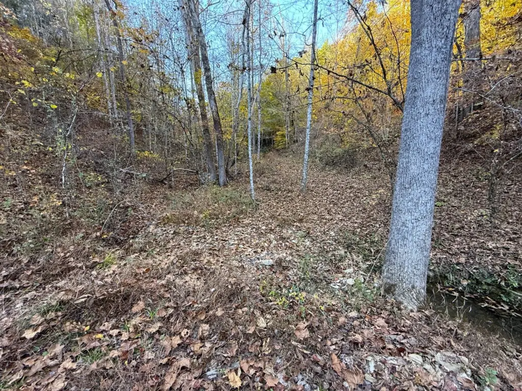 Picture 8