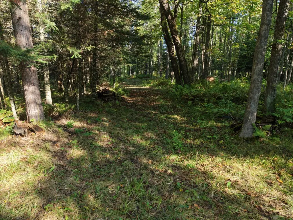 Picture 22