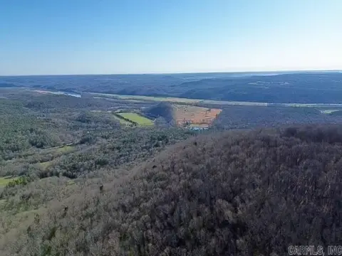 80 Acres Hunting & Timberland