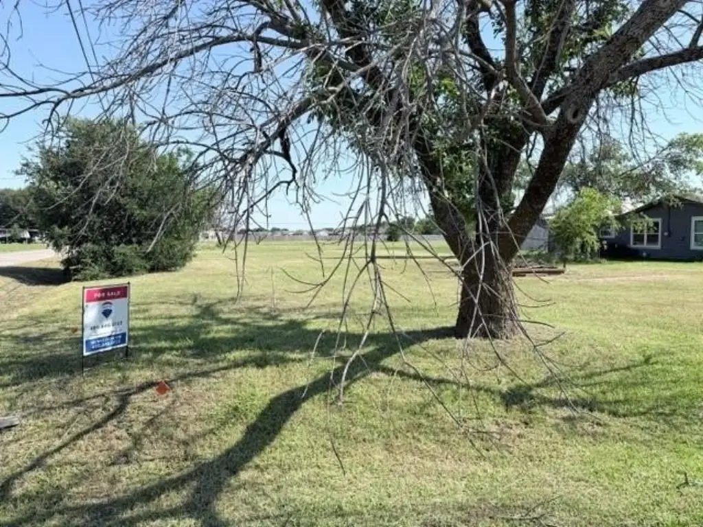 Picture 4