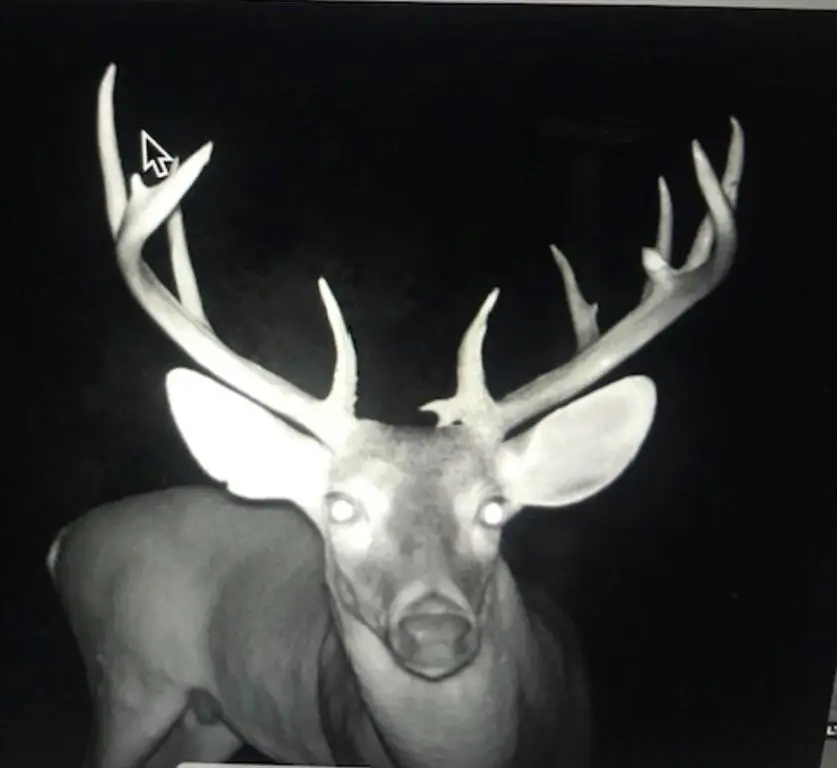 Picture 14