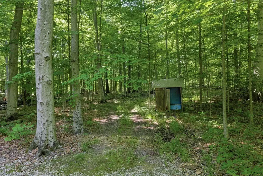 Picture 12