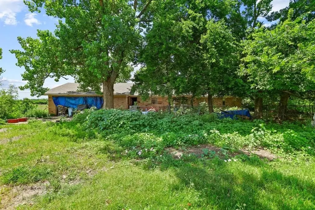 Picture 29
