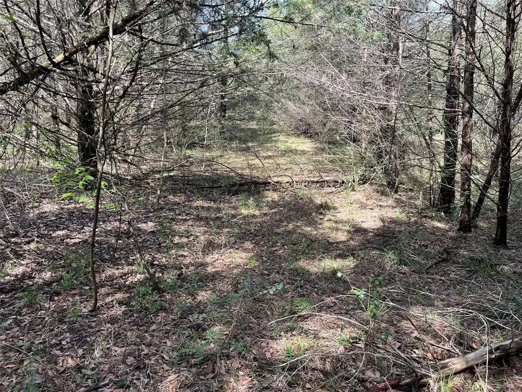 Picture 15